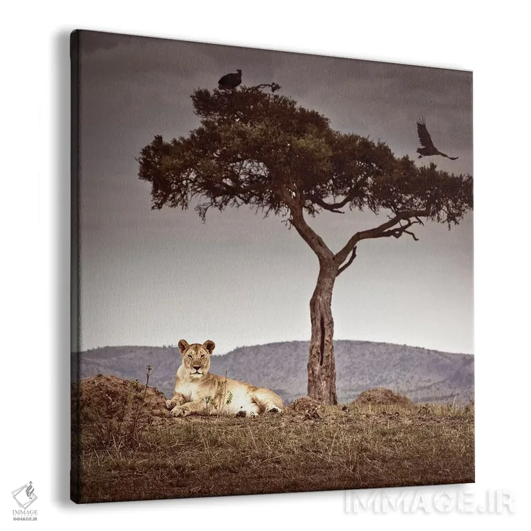 تابلو دکوراتیو مشاهده I اثر کلاوس تیدگه - نمای پرسپکتیو محصول