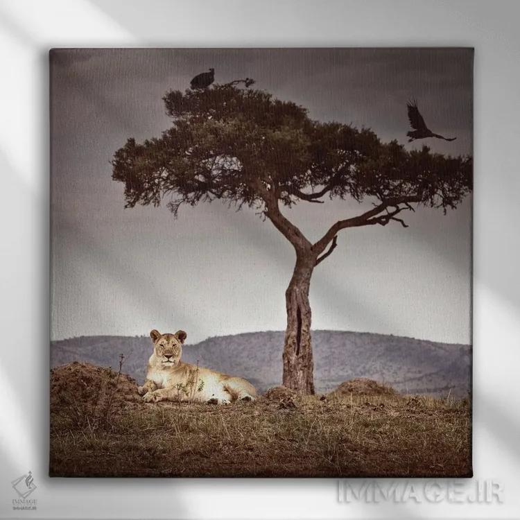 تابلو دکوراتیو مشاهده I اثر کلاوس تیدگه - نمای روبهرو روی دیوار