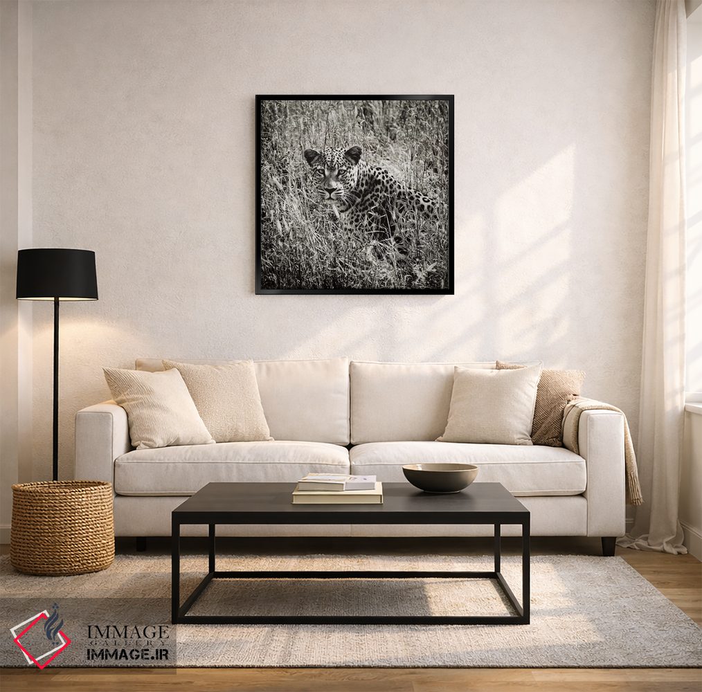تابلو دکوراتیو پلنگ مرموز سیاه و سفید اثر کلاوس تیدگه - D5B