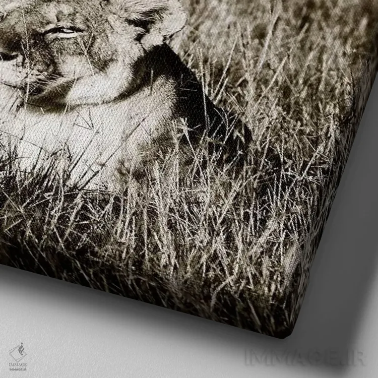 تابلو دکوراتیو شیر راضی اثر کلاوس تیدگه - نمای نزدیک بافت بوم