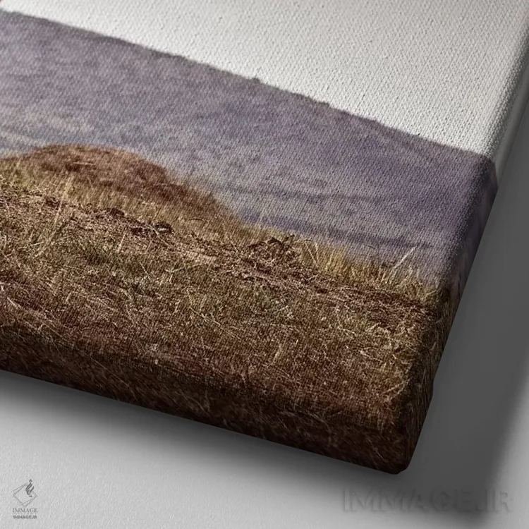 تابلو دکوراتیو مشاهده I اثر کلاوس تیدگه - نمای نزدیک بافت بوم