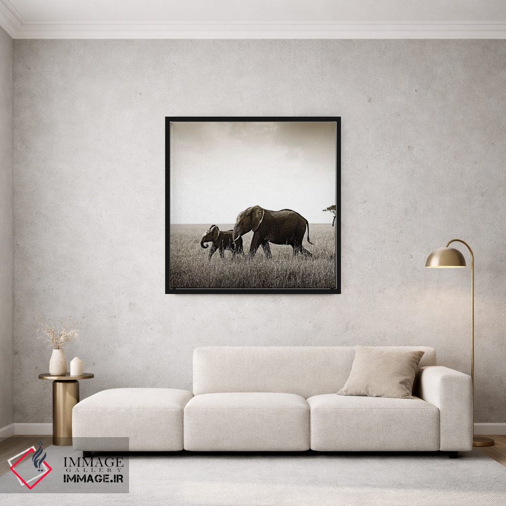 تابلو دکوراتیو فیل پیوسته اثر کلاوس تیدگه - D1B