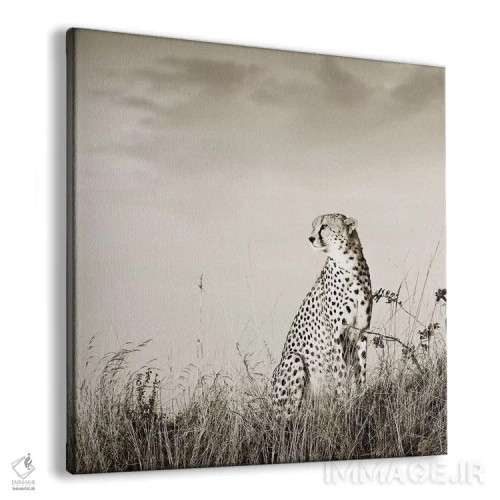 تابلو دکوراتیو یوزپلنگ تنها اثر کلاوس تیدگه - نمای پرسپکتیو محصول