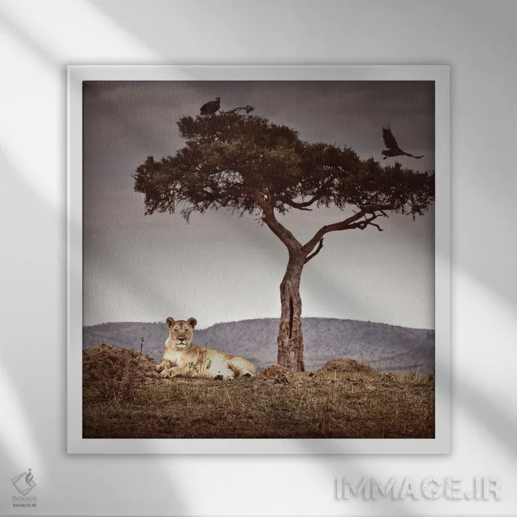 تابلو دکوراتیو مشاهده I اثر کلاوس تیدگه - نمای قابدار سفید
