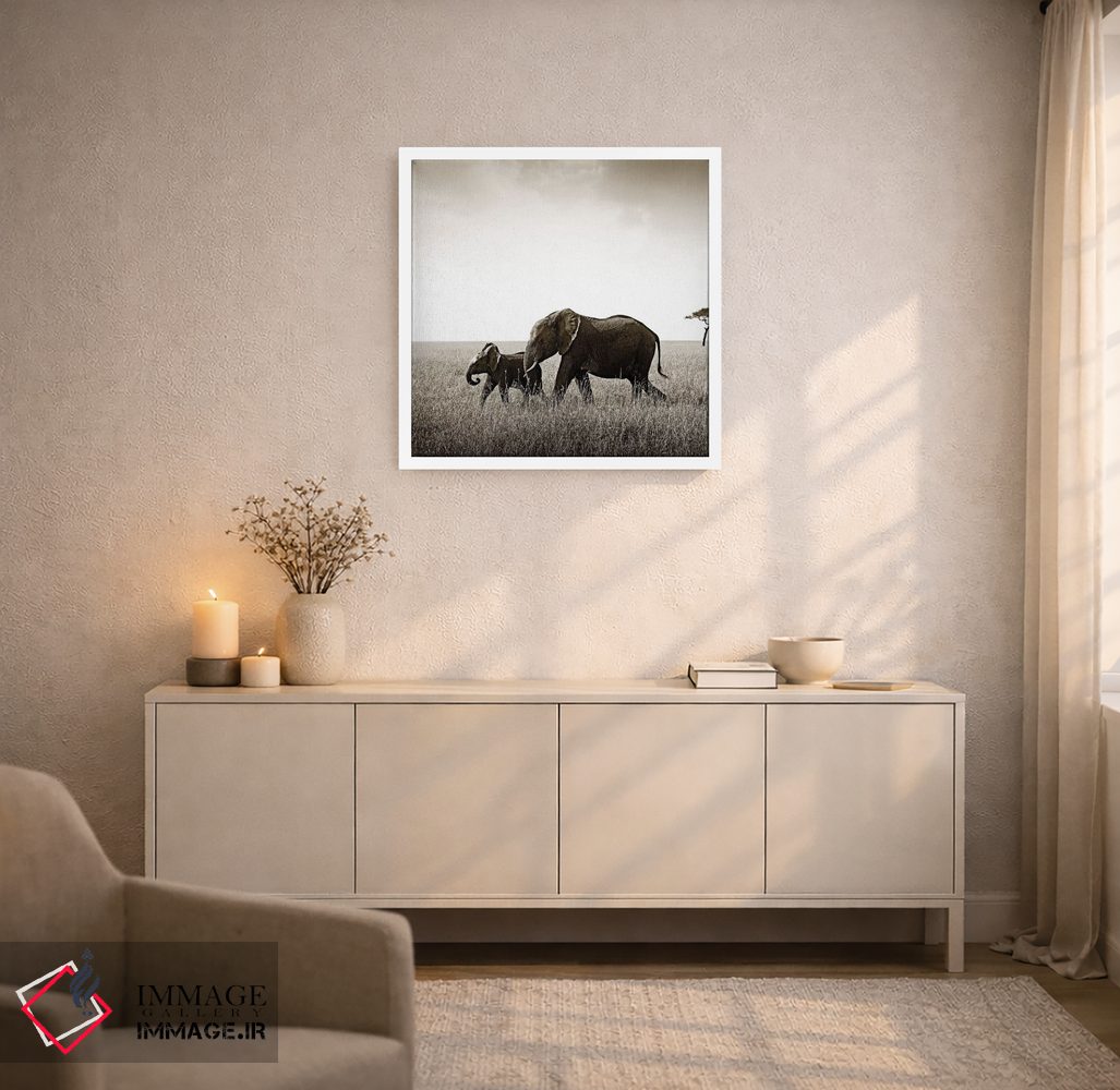 تابلو دکوراتیو فیل پیوسته اثر کلاوس تیدگه - D4W