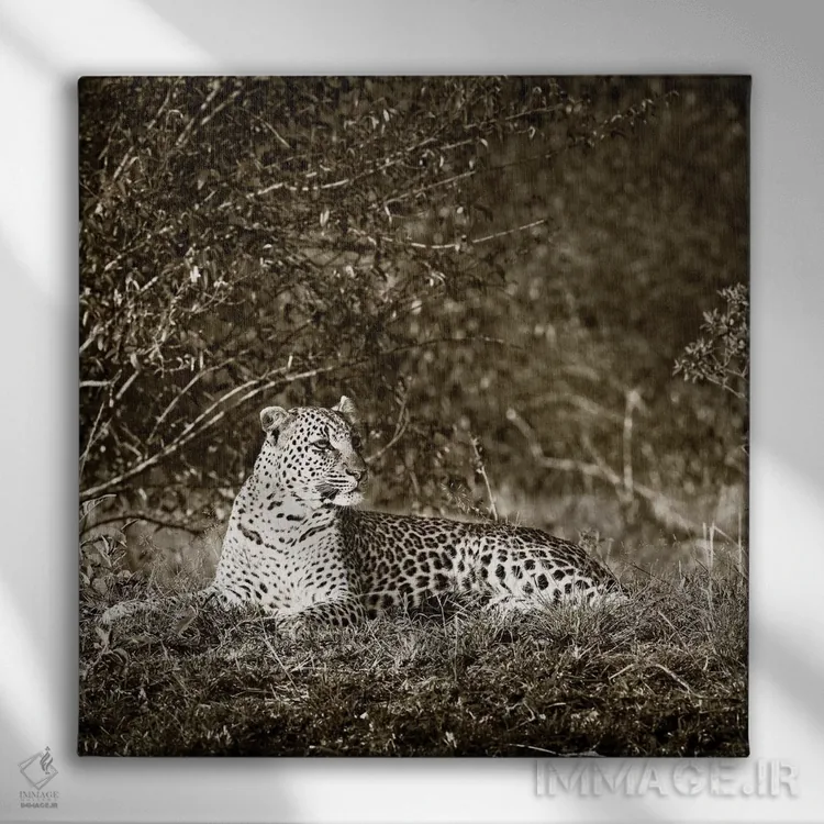 تابلو دکوراتیو پلنگ هوشیار اثر کلاوس تیدگه - نمای روبهرو روی دیوار