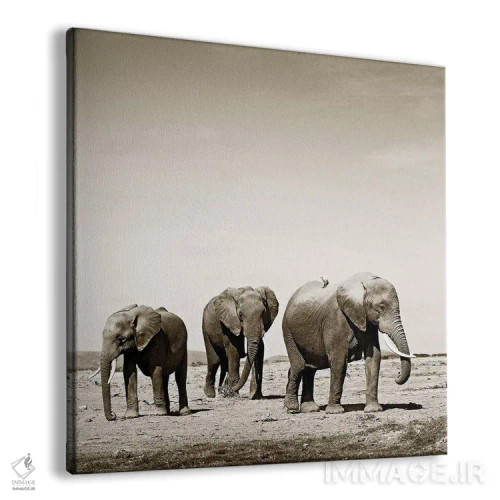 تابلو دکوراتیو فیل های سنگین قدم اثر کلاوس تیدگه - نمای پرسپکتیو محصول