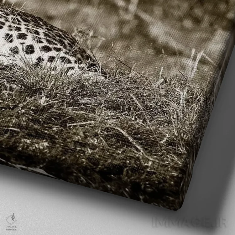 تابلو دکوراتیو پلنگ هوشیار اثر کلاوس تیدگه - نمای نزدیک بافت بوم