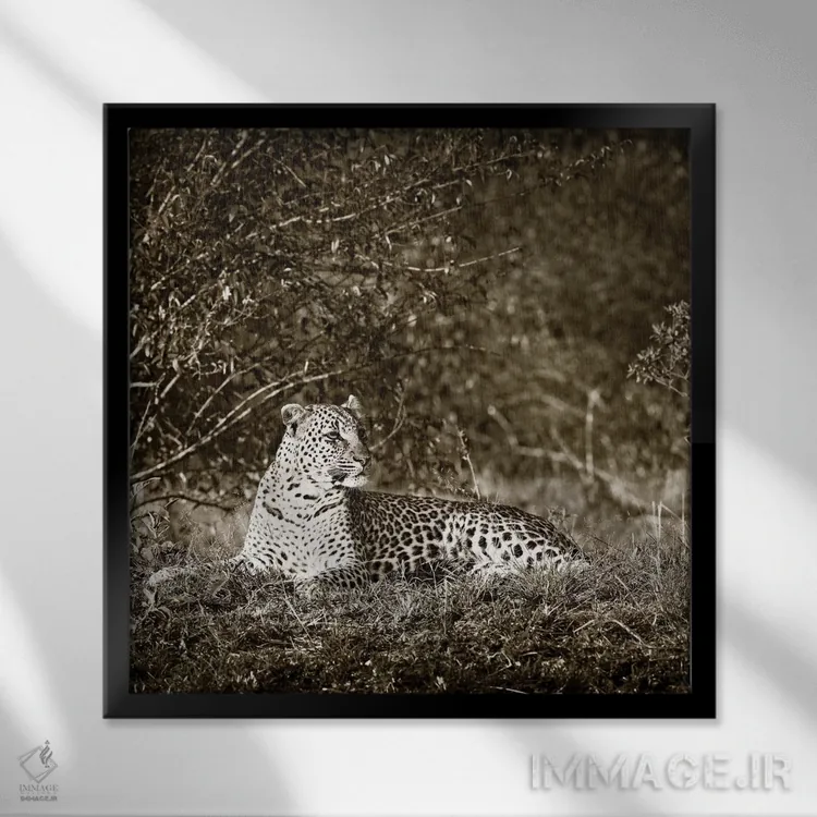 تابلو دکوراتیو پلنگ هوشیار اثر کلاوس تیدگه - نمای قابدار مشکی