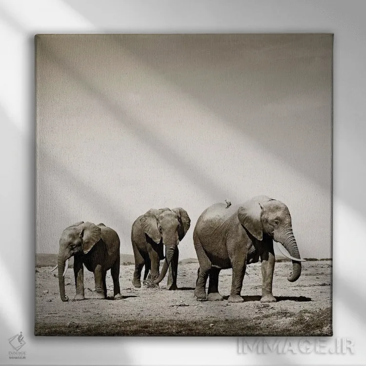 تابلو دکوراتیو فیل های سنگین قدم اثر کلاوس تیدگه - نمای روبهرو روی دیوار