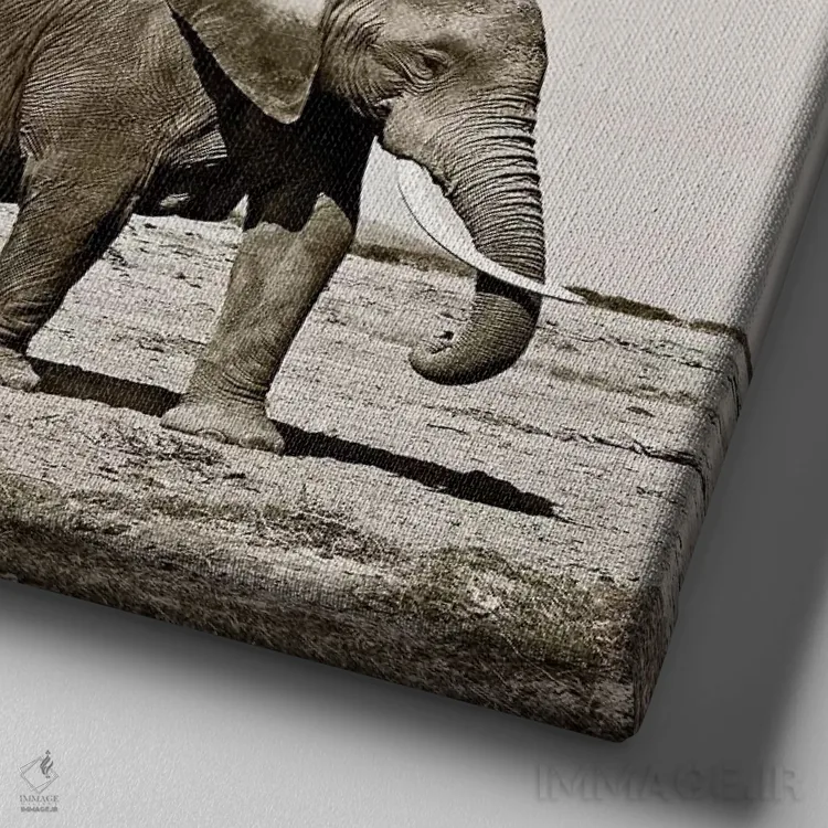 تابلو دکوراتیو فیل های سنگین قدم اثر کلاوس تیدگه - نمای نزدیک بافت بوم