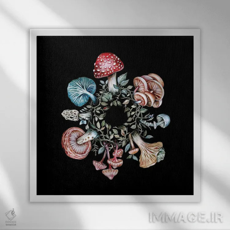 تابلو دکوراتیو حلقه پریان اثر کیمرا واچنا - نمای قابدار سفید