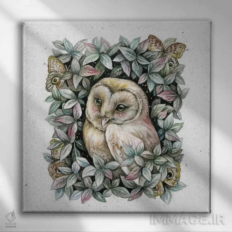 تابلو دکوراتیو جغد و پروانه جغدی اثر کیمرا واچنا - نمای روبهرو روی دیوار