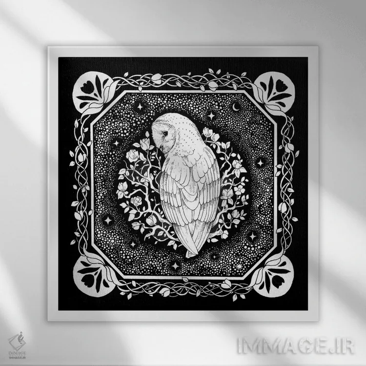 تابلو دکوراتیو جغد ستاره ای با تاک ها اثر کیمرا واچنا - نمای قابدار سفید