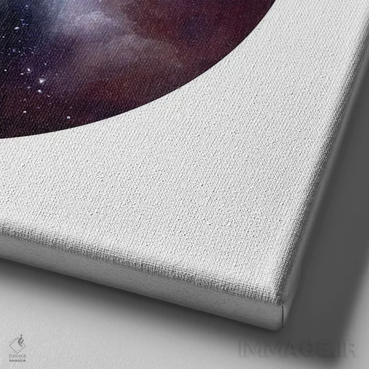 تابلو دکوراتیو گنجشک سیاه کلاه اثر کیمرا واچنا - نمای نزدیک بافت بوم