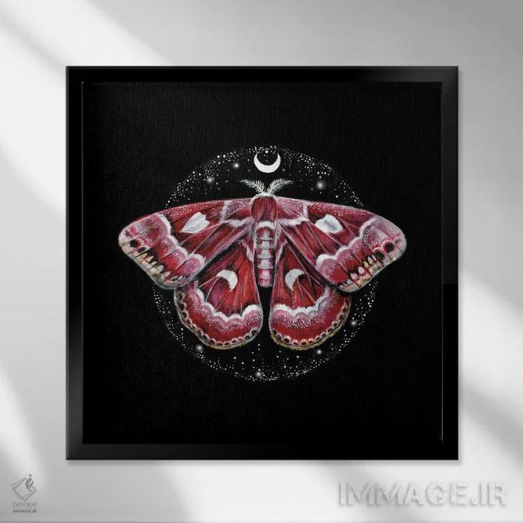 تابلو دکوراتیو پروانه موجودات کیهانی اثر کیمرا واچنا - نمای قابدار مشکی