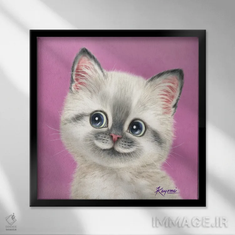 تابلو دکوراتیو ۳۶۵ روز با گربه ها: ۱۶ اثر کایومی هارای - نمای قابدار مشکی