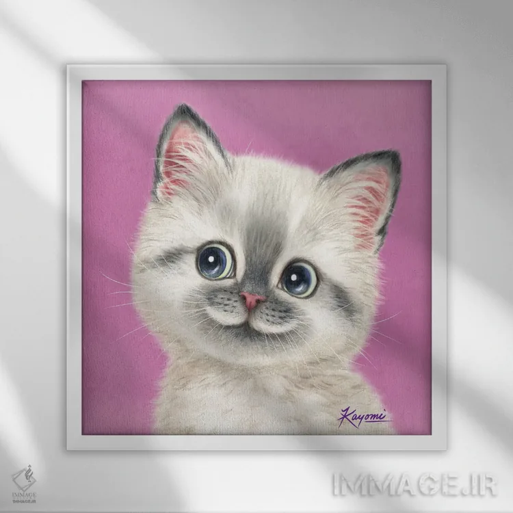 تابلو دکوراتیو ۳۶۵ روز با گربه ها: ۱۶ اثر کایومی هارای - نمای قابدار سفید