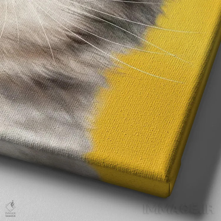 تابلو دکوراتیو ۳۶۵ روز با گربه ها: ۲۰ اثر کایومی هارای - نمای نزدیک بافت بوم