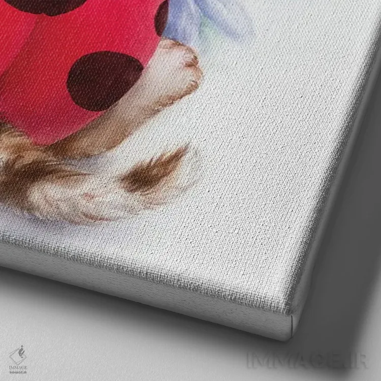 تابلو دکوراتیو بانوی سرخ پوش اثر کایومی هارای - نمای نزدیک بافت بوم