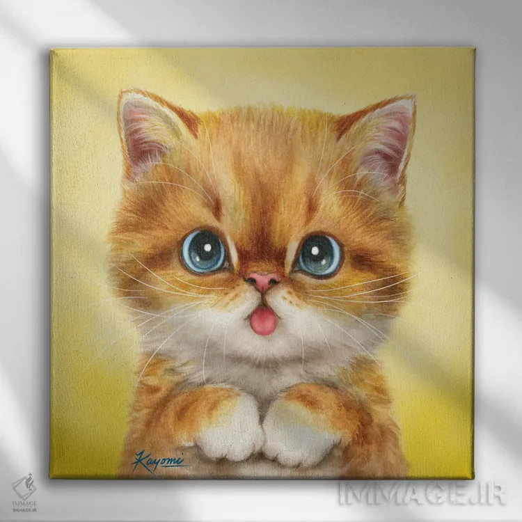 تابلو دکوراتیو ۳۶۵ روز با گربه ها: ۵۹ اثر کایومی هارای - نمای روبهرو روی دیوار