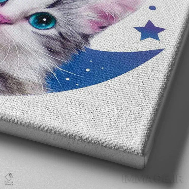 تابلو دکوراتیو آرزوی ستاره اثر کایومی هارای - نمای نزدیک بافت بوم