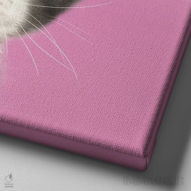 تابلو دکوراتیو ۳۶۵ روز با گربه ها: ۱۰۷ اثر کایومی هارای - نمای نزدیک بافت بوم