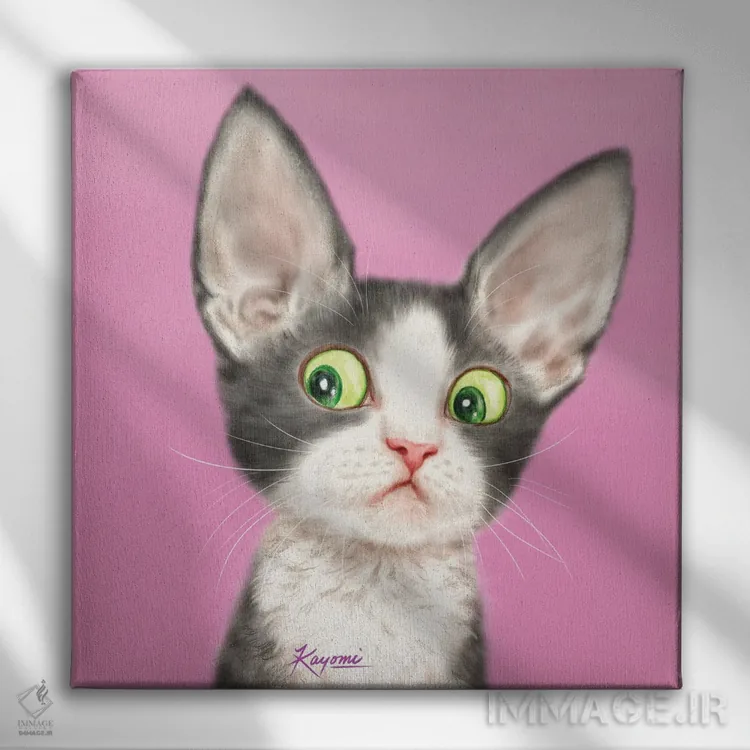 تابلو دکوراتیو ۳۶۵ روز با گربه ها: ۱۰۷ اثر کایومی هارای - نمای روبهرو روی دیوار