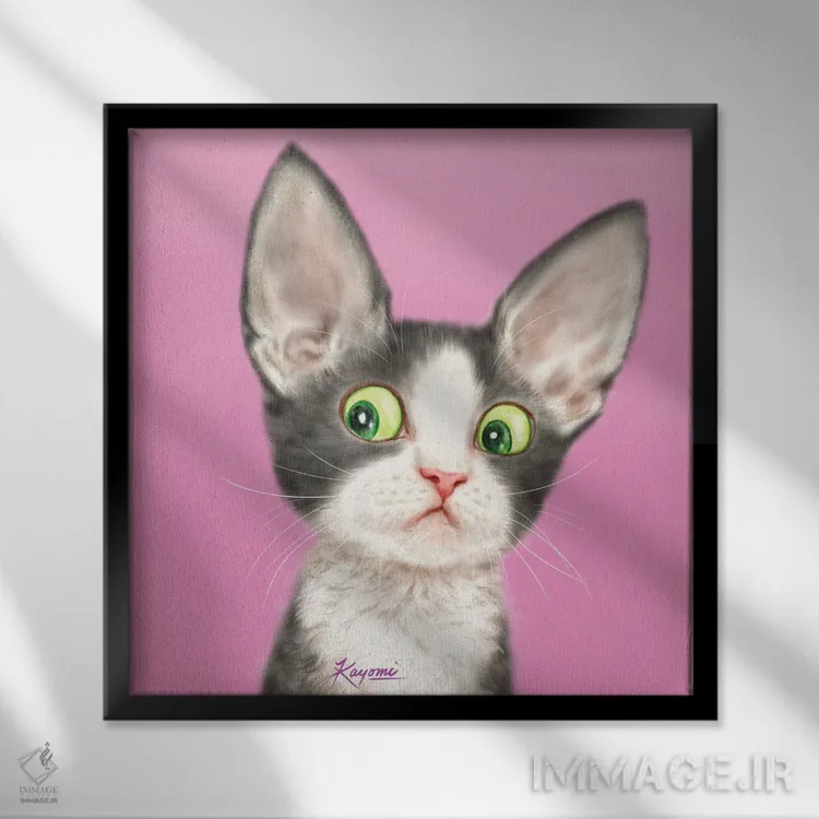 تابلو دکوراتیو ۳۶۵ روز با گربه ها: ۱۰۷ اثر کایومی هارای - نمای قابدار مشکی