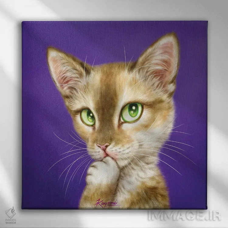 تابلو دکوراتیو ۳۶۵ روز با گربه ها: ۱۱۷ اثر کایومی هارای - نمای روبهرو روی دیوار