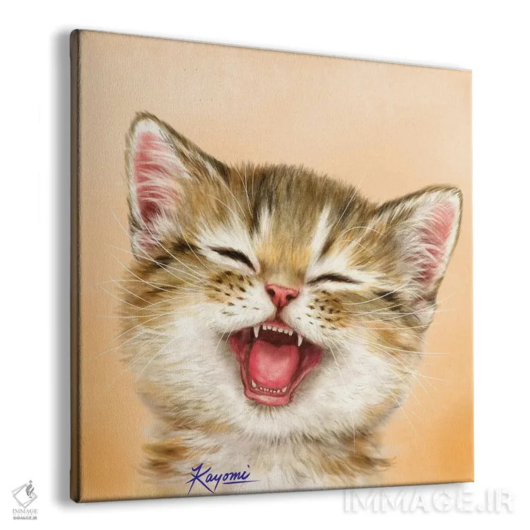 تابلو دکوراتیو ۳۶۵ روز با گربه ها: ۵ اثر کایومی هارای - نمای پرسپکتیو محصول