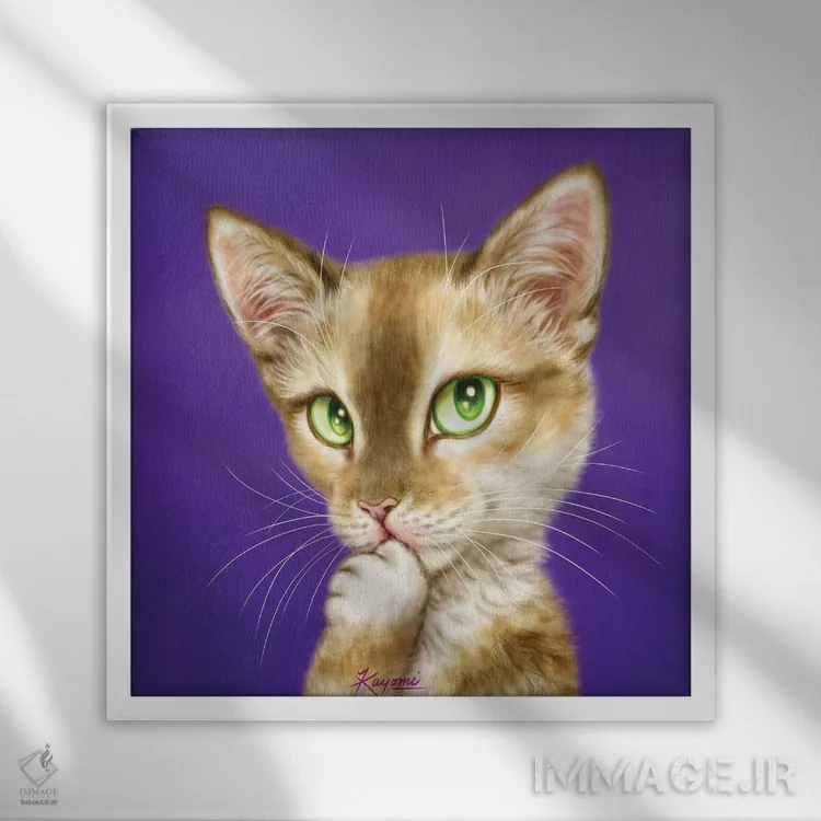 تابلو دکوراتیو ۳۶۵ روز با گربه ها: ۱۱۷ اثر کایومی هارای - نمای قابدار سفید