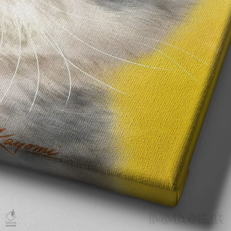 تابلو دکوراتیو ۳۶۵ روز با گربه ها: ۱۳۲ اثر کایومی هارای - نمای نزدیک بافت بوم