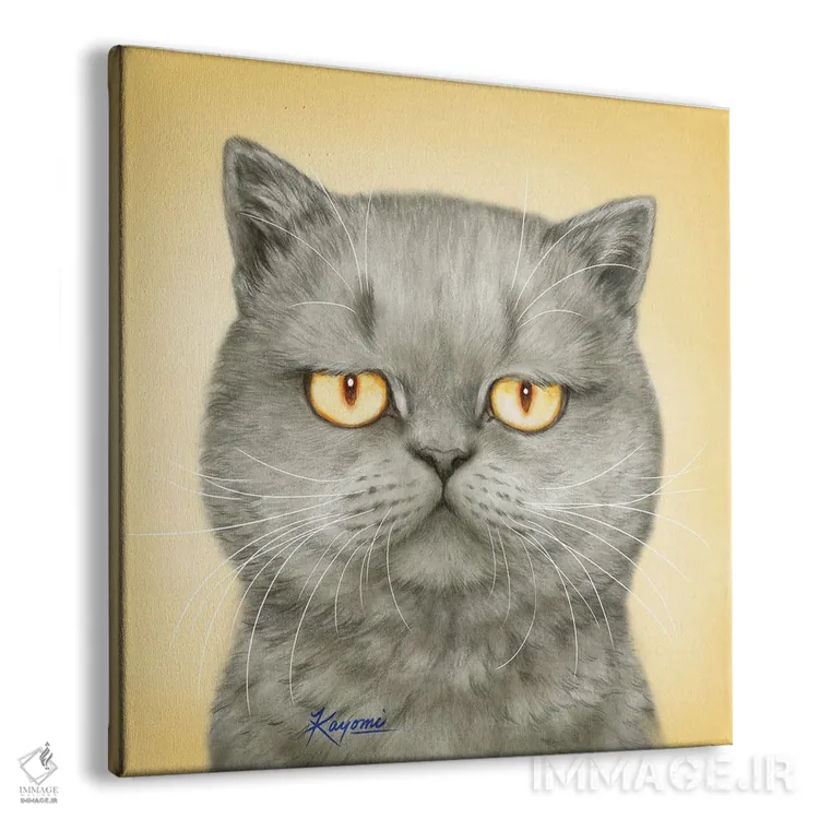 تابلو دکوراتیو ۳۶۵ روز با گربه ها: ۱۶۵ اثر کایومی هارای - نمای پرسپکتیو محصول