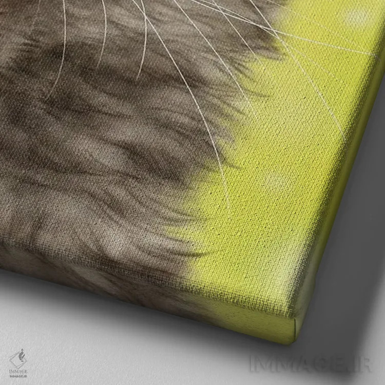 تابلو دکوراتیو ۳۶۵ روز با گربه ها: ۲۰۱ اثر کایومی هارای - نمای نزدیک بافت بوم