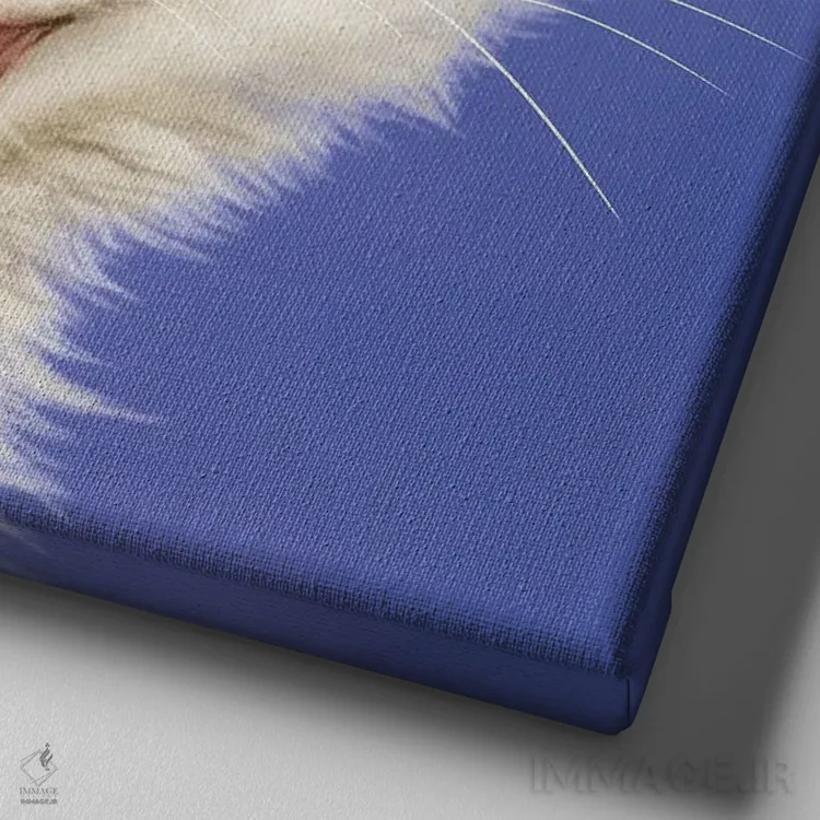 تابلو دکوراتیو ۳۶۵ روز با گربه ها: ۱۹۶ اثر کایومی هارای - نمای نزدیک بافت بوم