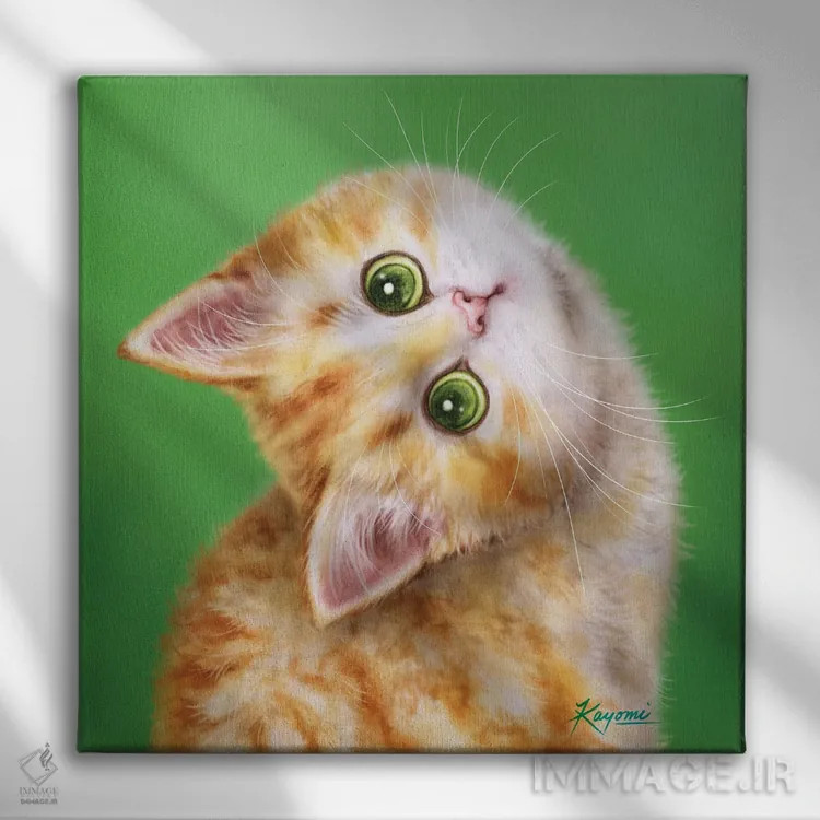 تابلو دکوراتیو ۳۶۵ روز با گربه ها: ۲۱۷ اثر کایومی هارای - نمای روبهرو روی دیوار