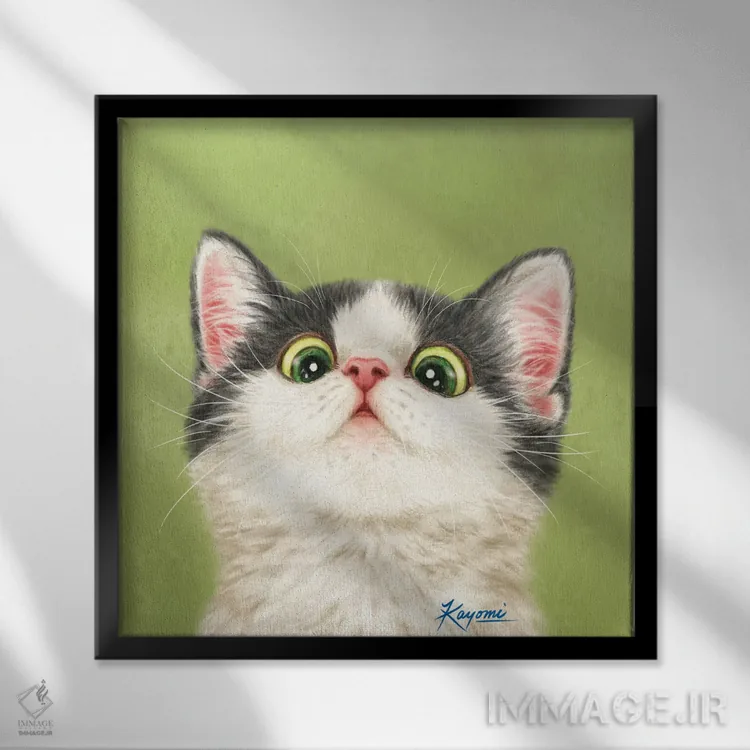 تابلو دکوراتیو ۳۶۵ روز با گربه ها: ۱۳ اثر کایومی هارای - نمای قابدار مشکی