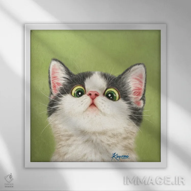 تابلو دکوراتیو ۳۶۵ روز با گربه ها: ۱۳ اثر کایومی هارای - نمای قابدار سفید