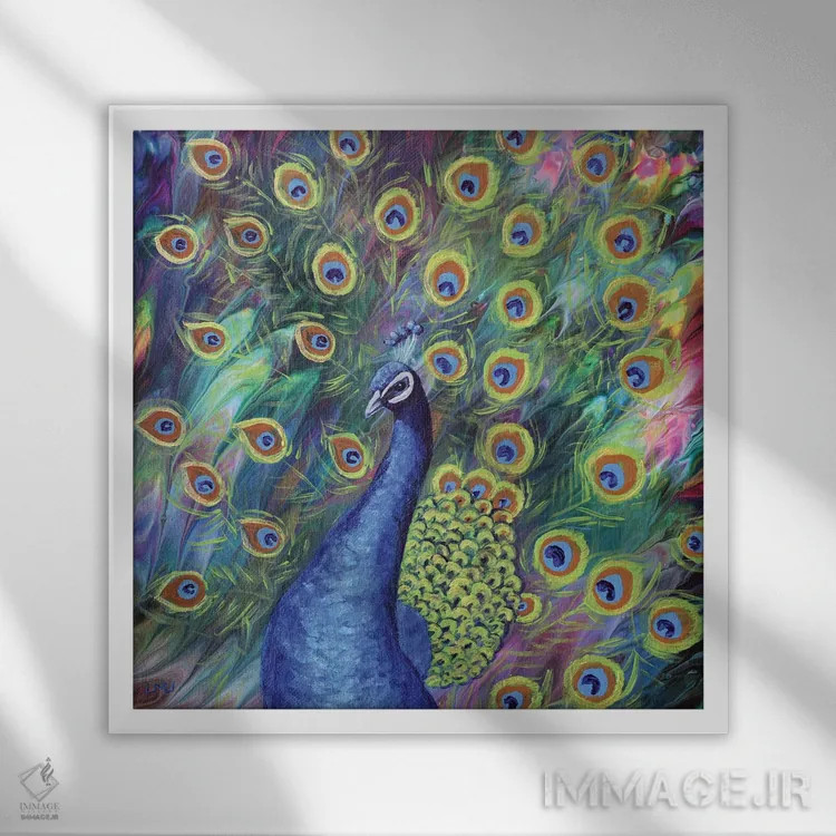 تابلو دکوراتیو طاووس اثر لورا ایورسن - نمای قابدار سفید