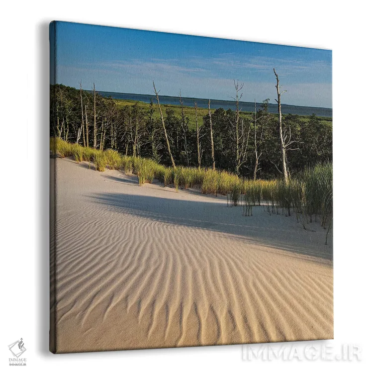 تابلو دکوراتیو لهستان، دریای بالتیک، پارک ملی اسلوینسکی VII اثر میکولاج گوسپودرک - نمای پرسپکتیو محصول