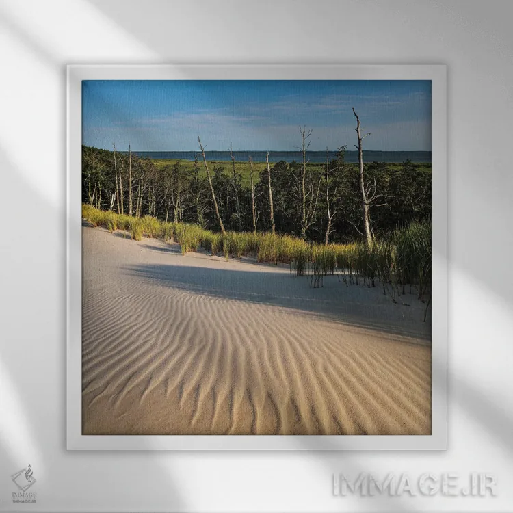 تابلو دکوراتیو لهستان، دریای بالتیک، پارک ملی اسلوینسکی VII اثر میکولاج گوسپودرک - نمای قابدار سفید