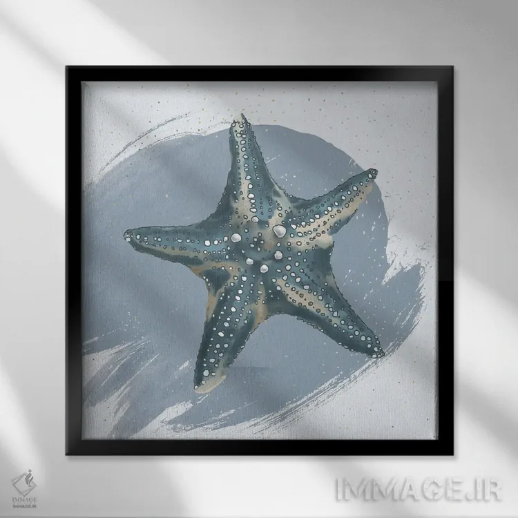 تابلو دکوراتیو ستاره دریایی اثر لوکا شپرد - نمای قابدار مشکی