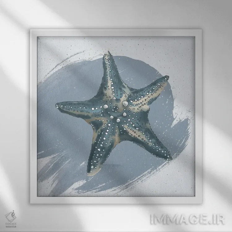 تابلو دکوراتیو ستاره دریایی اثر لوکا شپرد - نمای قابدار سفید