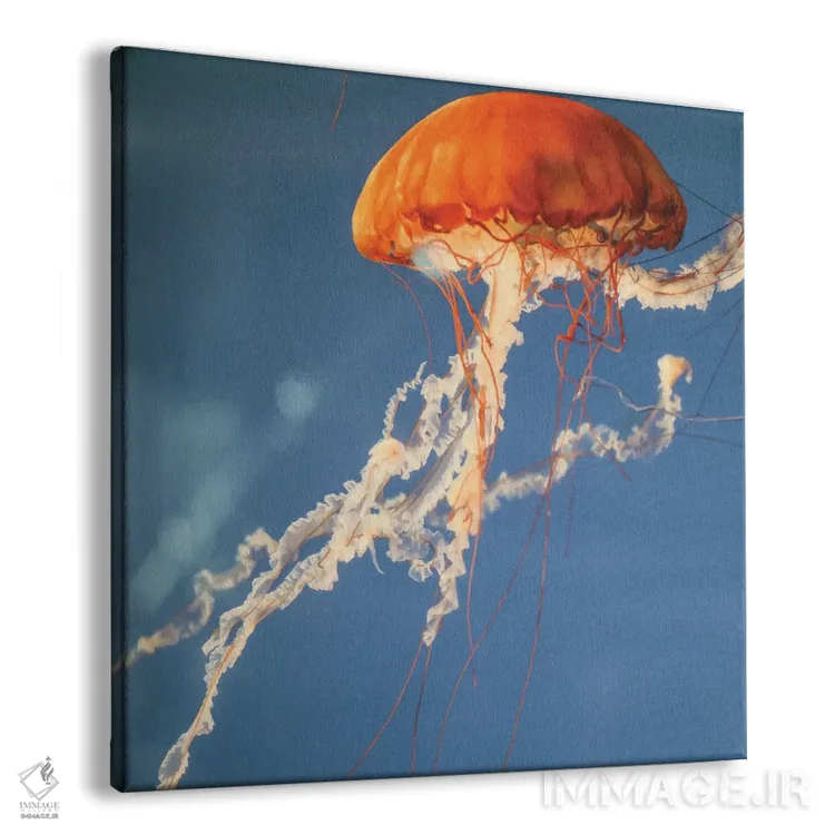 تابلو دکوراتیو عروس دریایی II اثر لینان کولیگان - نمای پرسپکتیو محصول