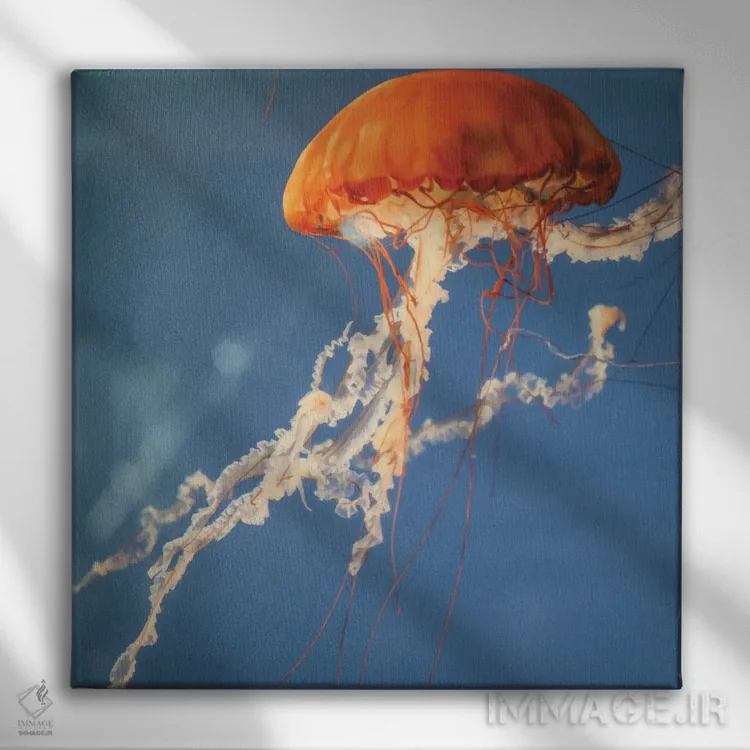 تابلو دکوراتیو عروس دریایی II اثر لینان کولیگان - نمای روبهرو روی دیوار