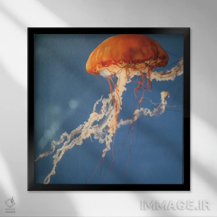 تابلو دکوراتیو عروس دریایی II اثر لینان کولیگان - نمای قابدار مشکی