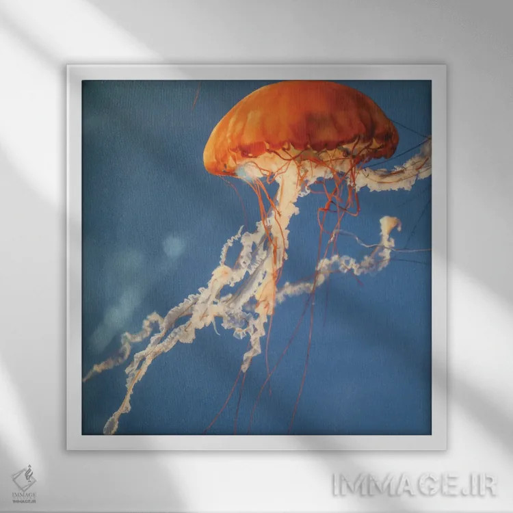 تابلو دکوراتیو عروس دریایی II اثر لینان کولیگان - نمای قابدار سفید