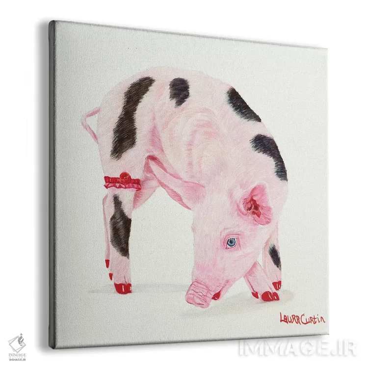 تابلو دکوراتیو خوک شقایقی اثر لورا کرتین - نمای پرسپکتیو محصول