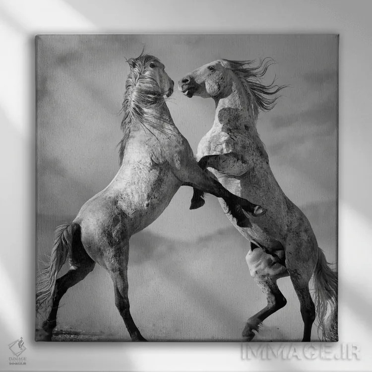 تابلو دکوراتیو چالشگران اثر لیزا دیرینگ - نمای روبهرو روی دیوار